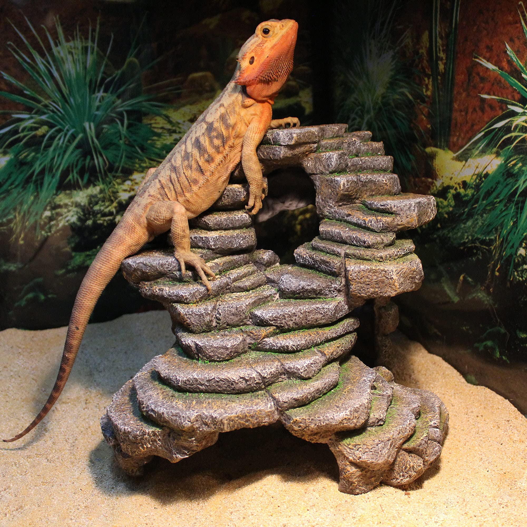 Penn-Plax Reptology Shale Scape Step Ledge & Cave Hideout - Decorative Resin for Aquariums & Terrariums - Great for Reptiles, Am